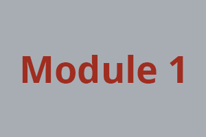 module1 1