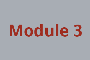 module3 1