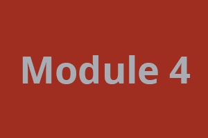 module4